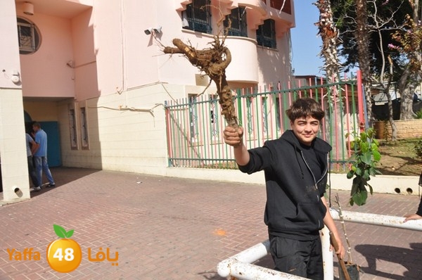 trees shamela 0321 (31).JPG